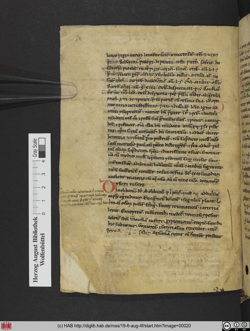 http://diglib.hab.de/mss/19-6-aug-4f/00020.jpg
