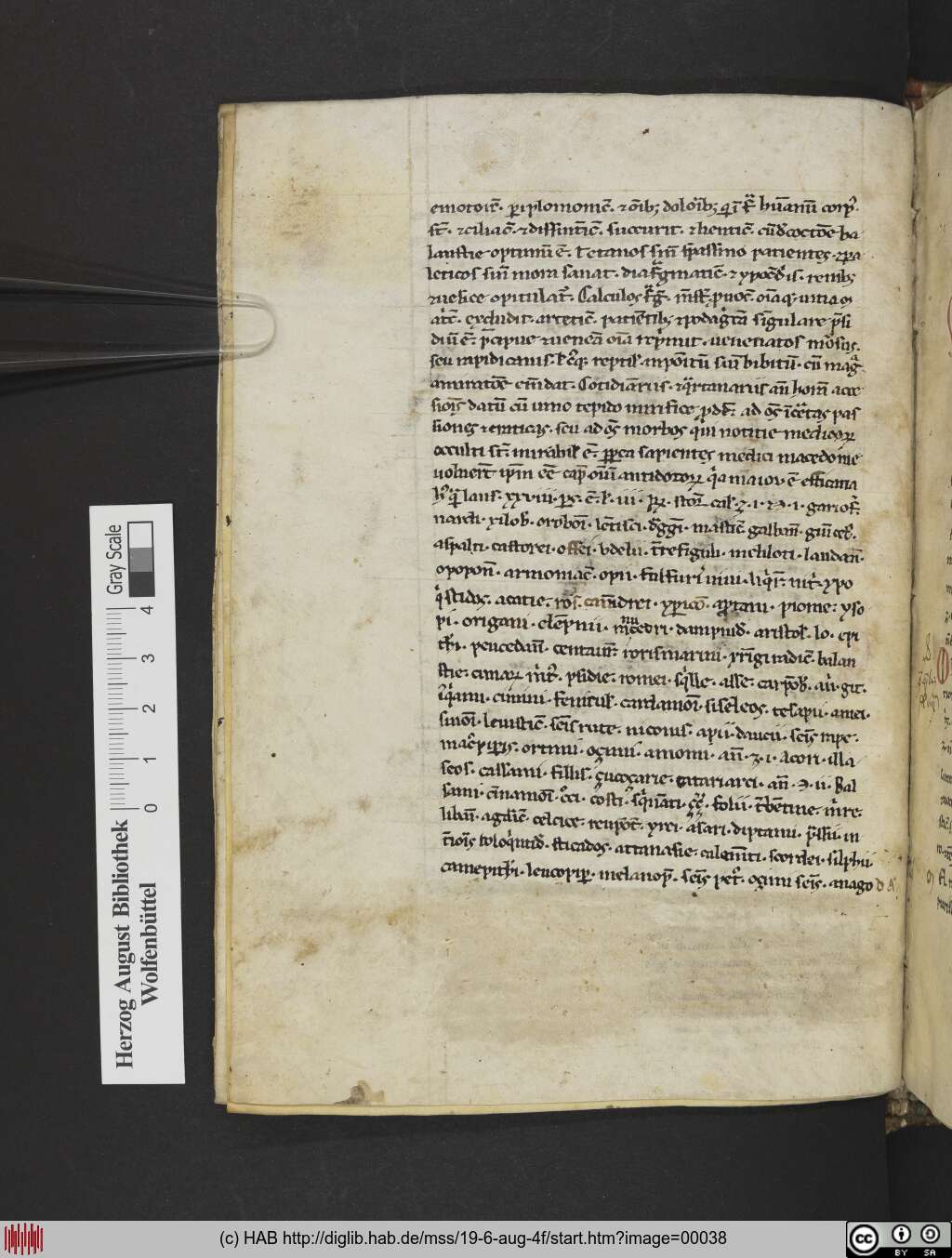 http://diglib.hab.de/mss/19-6-aug-4f/00038.jpg