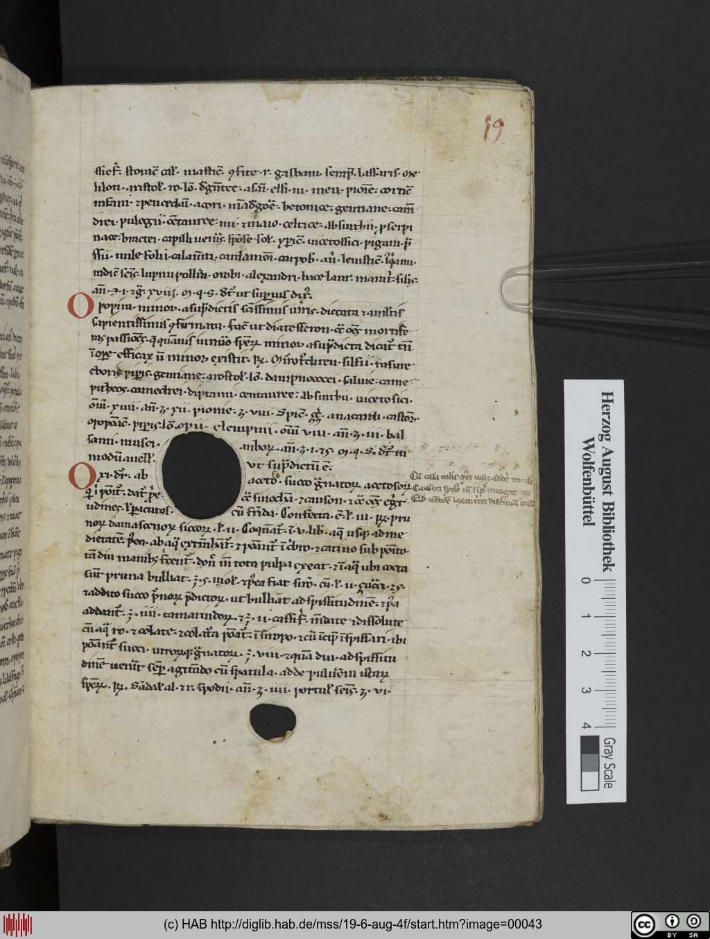 http://diglib.hab.de/mss/19-6-aug-4f/00043.jpg
