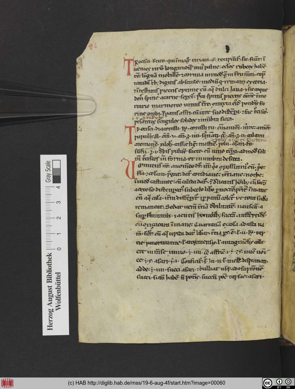 http://diglib.hab.de/mss/19-6-aug-4f/00060.jpg