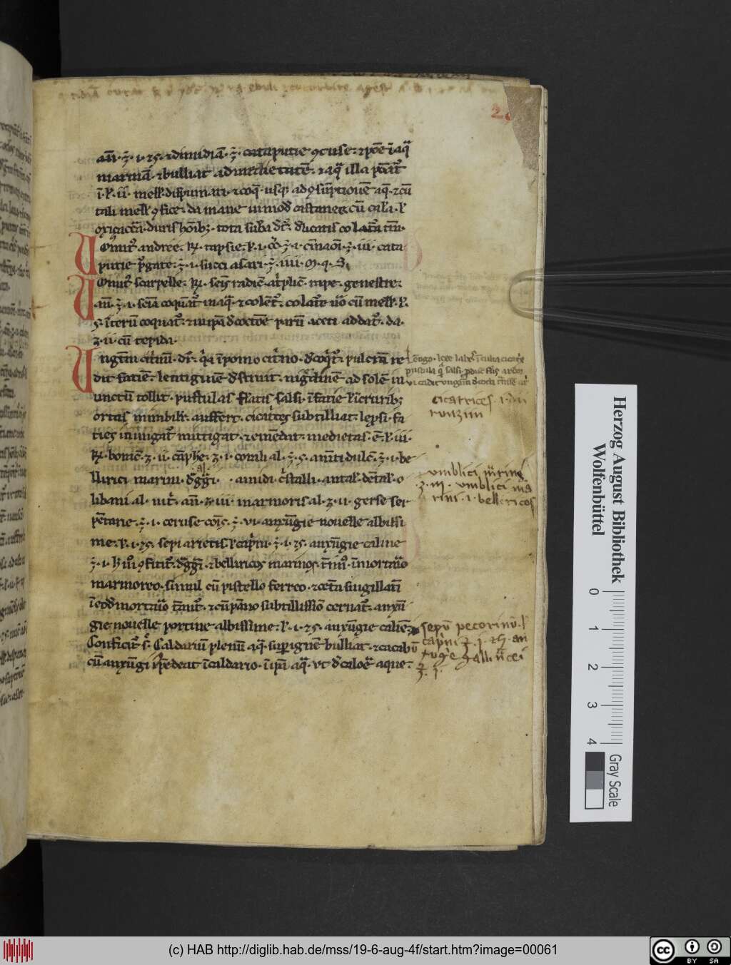 http://diglib.hab.de/mss/19-6-aug-4f/00061.jpg