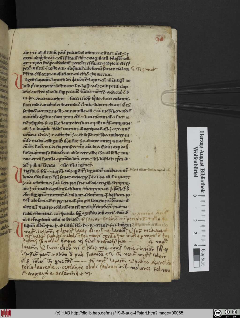 http://diglib.hab.de/mss/19-6-aug-4f/00065.jpg