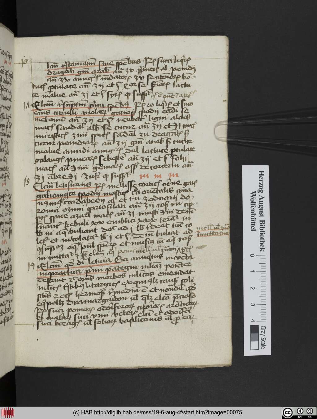 http://diglib.hab.de/mss/19-6-aug-4f/00075.jpg