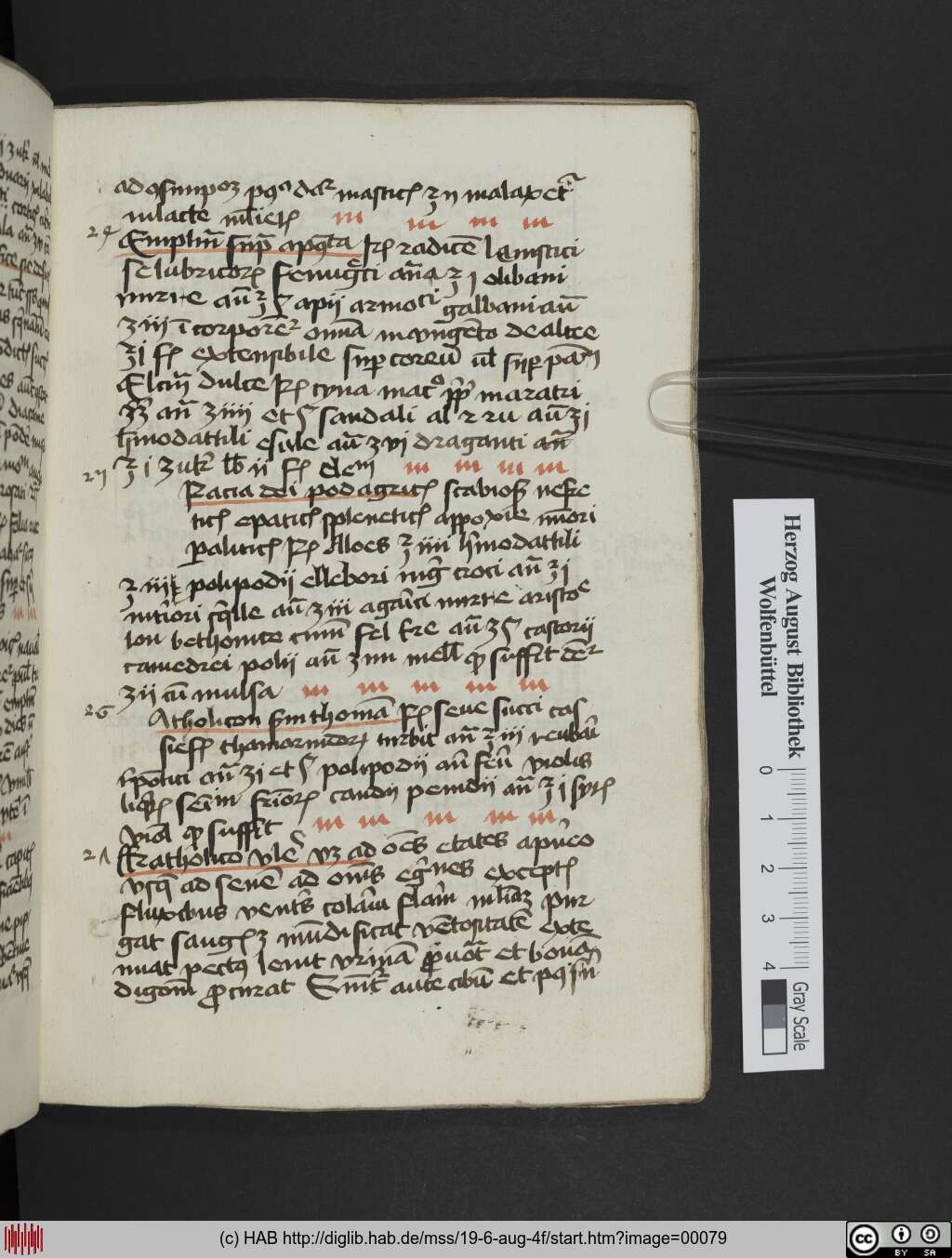 http://diglib.hab.de/mss/19-6-aug-4f/00079.jpg