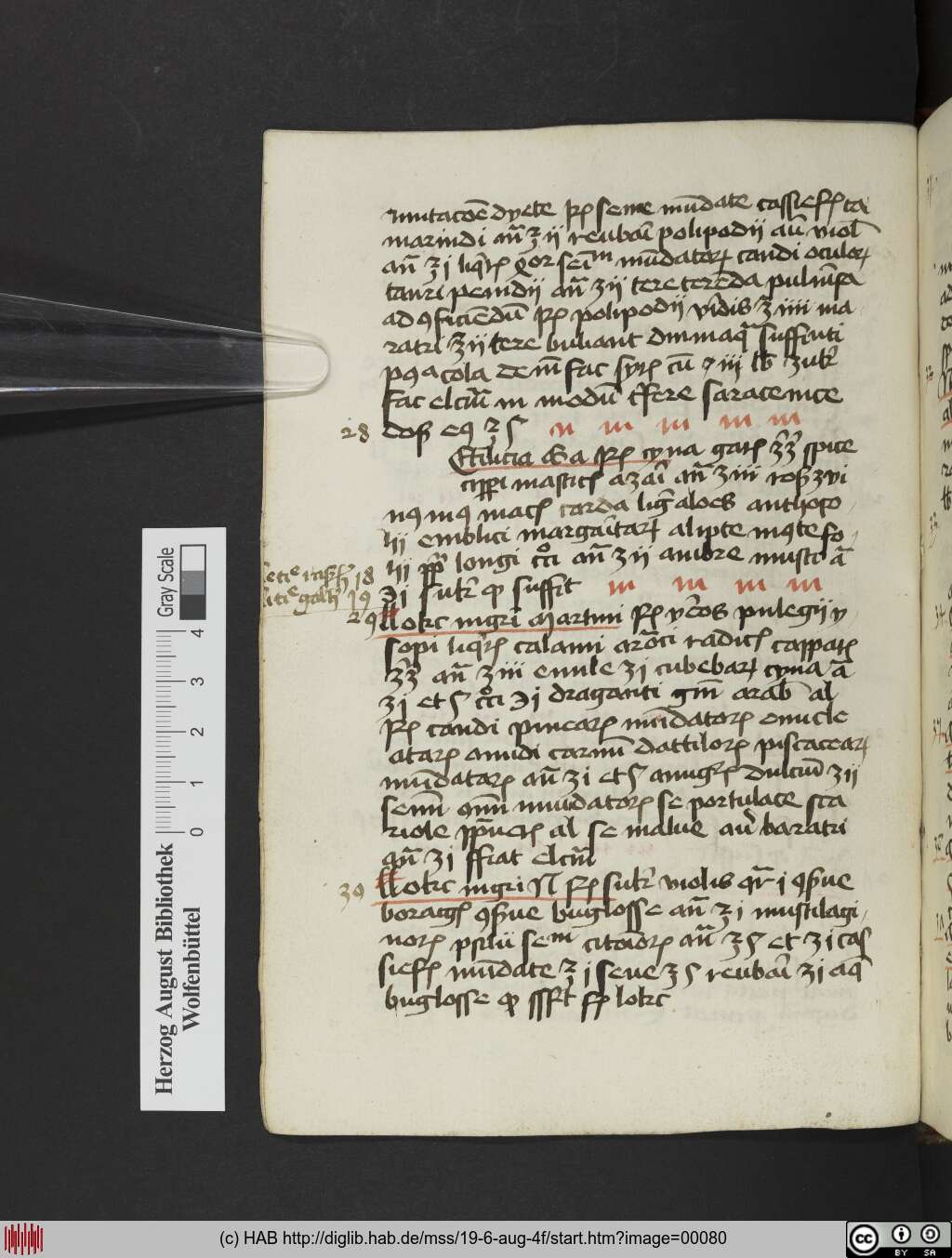 http://diglib.hab.de/mss/19-6-aug-4f/00080.jpg