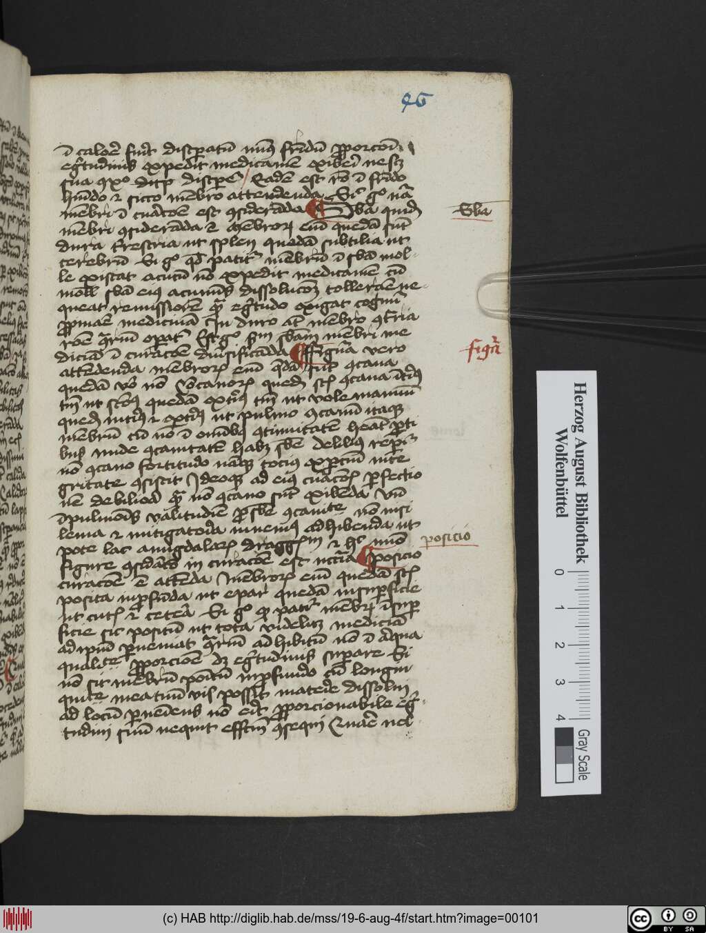http://diglib.hab.de/mss/19-6-aug-4f/00101.jpg