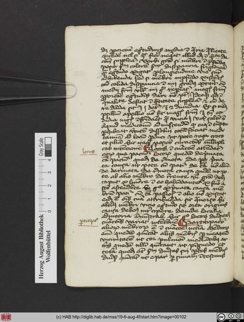 http://diglib.hab.de/mss/19-6-aug-4f/00102.jpg
