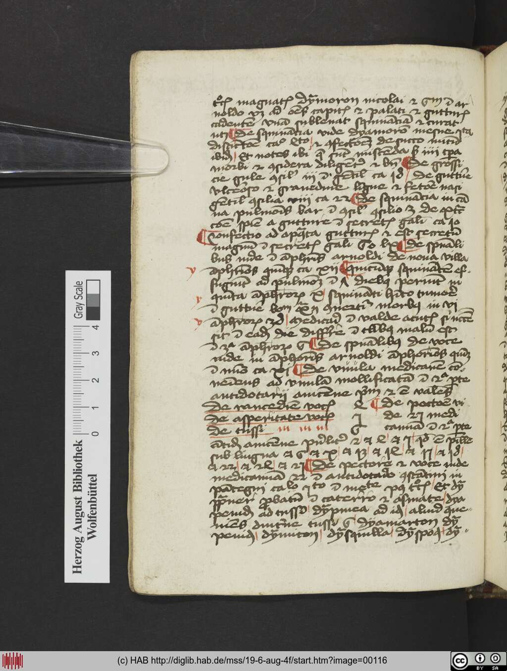 http://diglib.hab.de/mss/19-6-aug-4f/00116.jpg