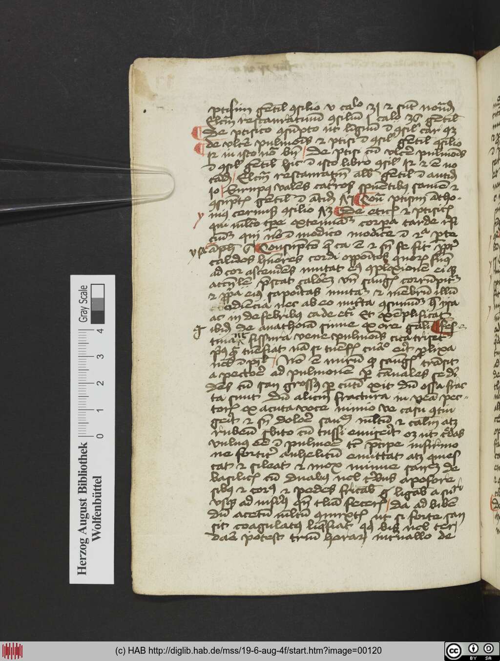 http://diglib.hab.de/mss/19-6-aug-4f/00120.jpg