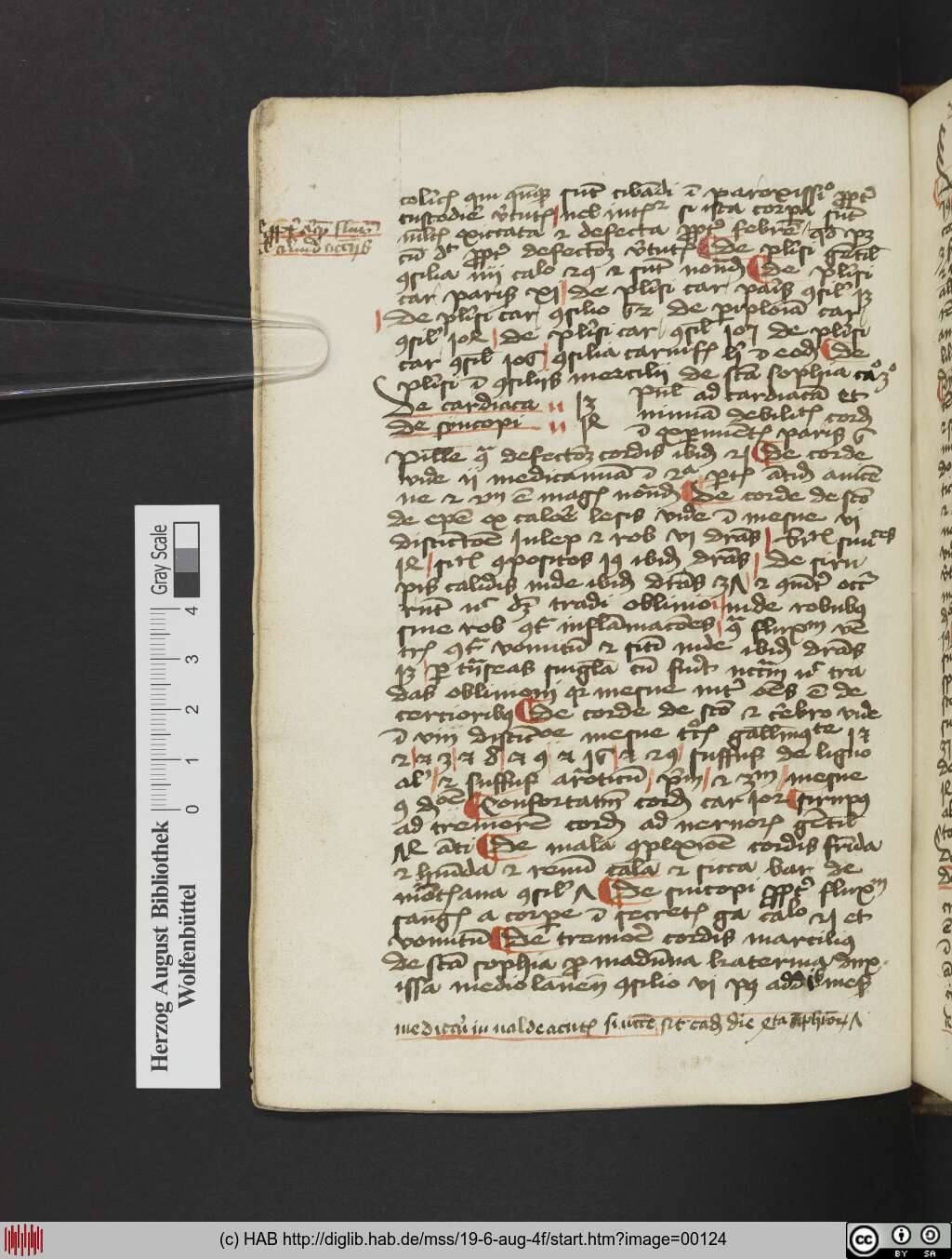 http://diglib.hab.de/mss/19-6-aug-4f/00124.jpg