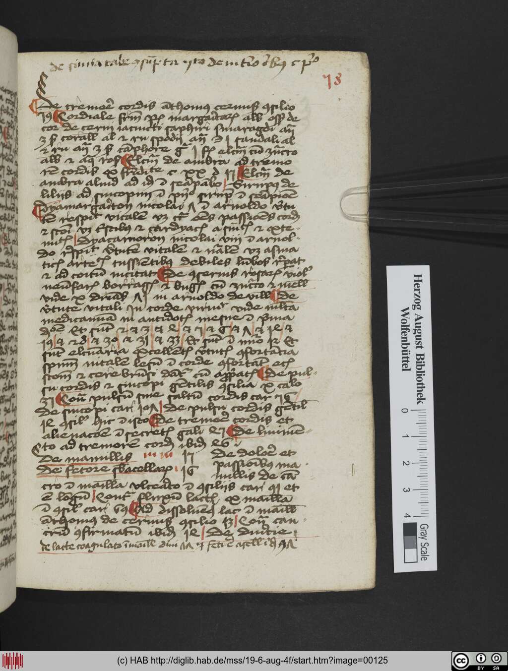 http://diglib.hab.de/mss/19-6-aug-4f/00125.jpg