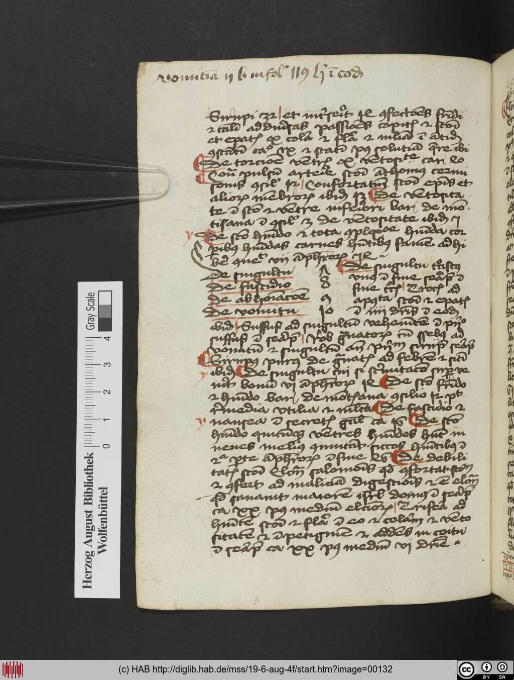 http://diglib.hab.de/mss/19-6-aug-4f/00132.jpg