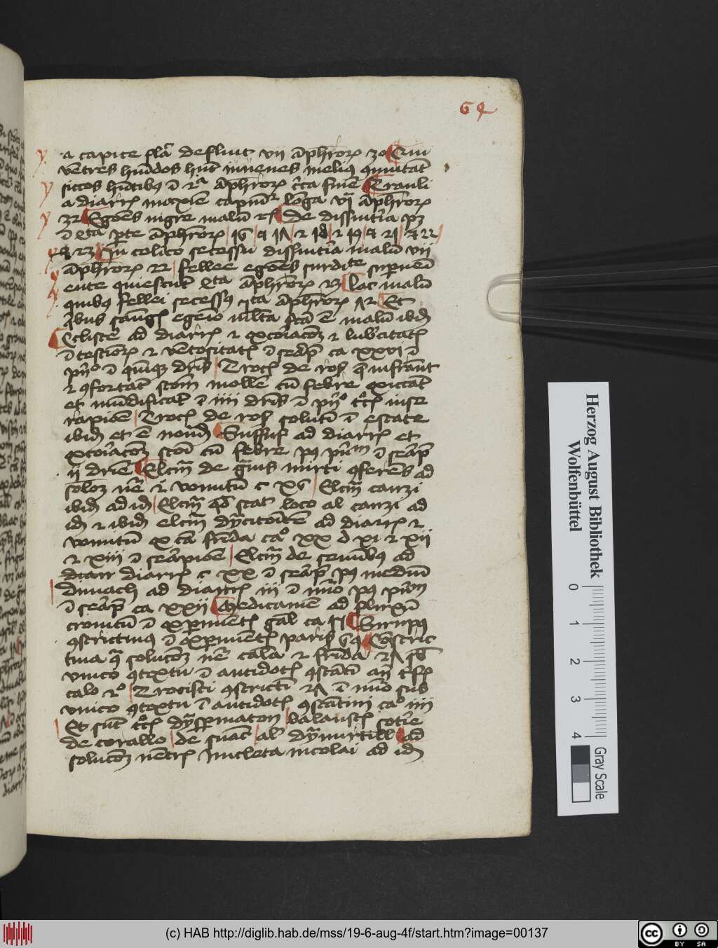 http://diglib.hab.de/mss/19-6-aug-4f/00137.jpg