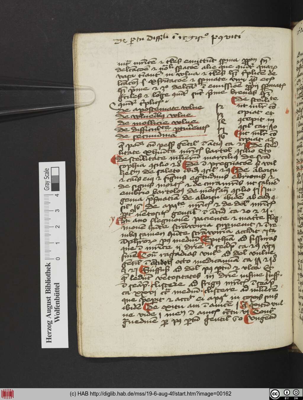 http://diglib.hab.de/mss/19-6-aug-4f/00162.jpg