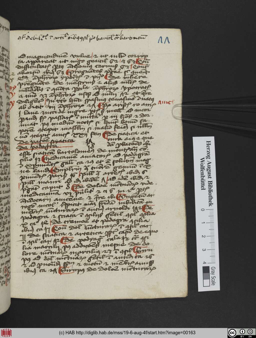 http://diglib.hab.de/mss/19-6-aug-4f/00163.jpg