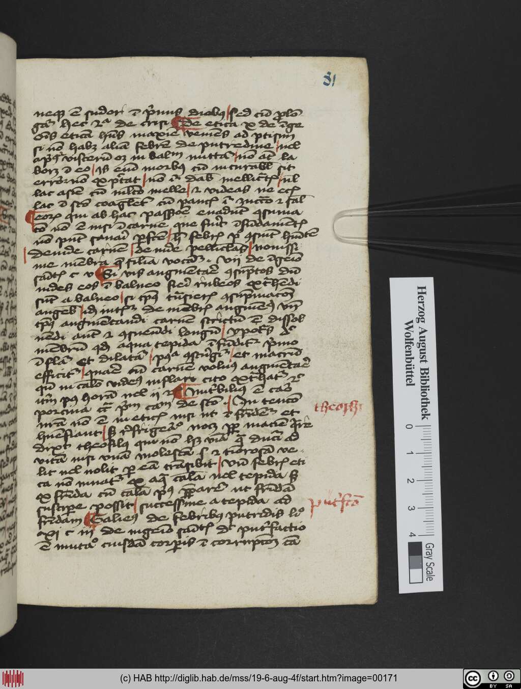 http://diglib.hab.de/mss/19-6-aug-4f/00171.jpg