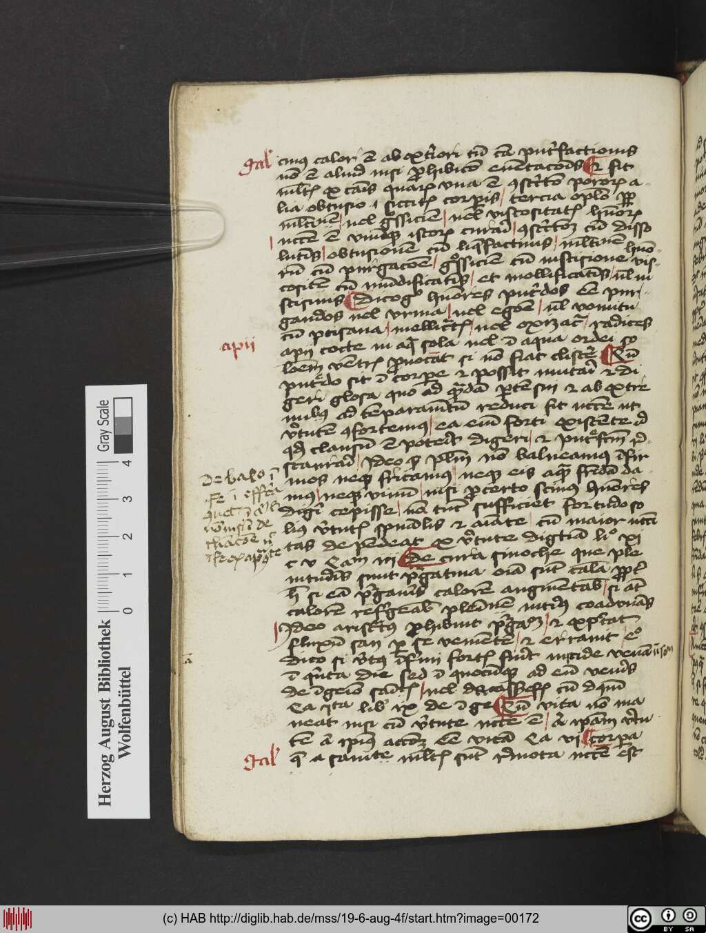 http://diglib.hab.de/mss/19-6-aug-4f/00172.jpg