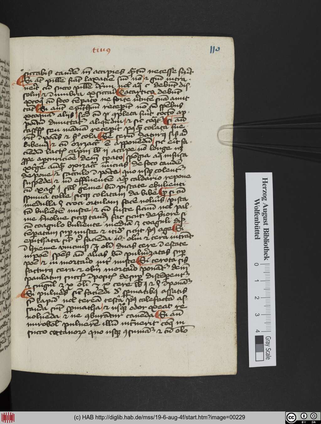 http://diglib.hab.de/mss/19-6-aug-4f/00229.jpg