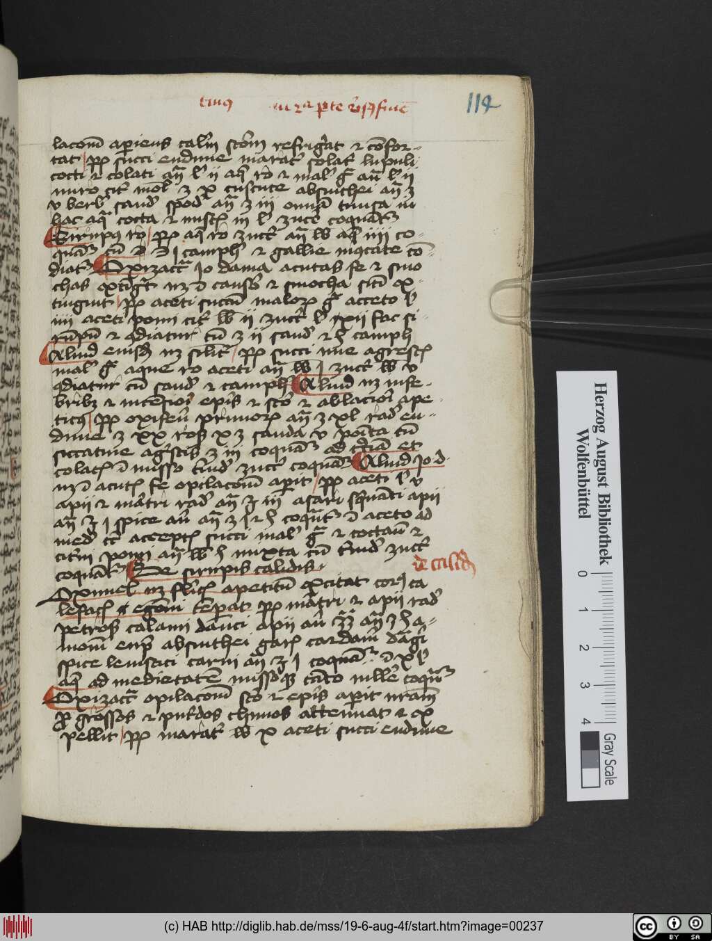 http://diglib.hab.de/mss/19-6-aug-4f/00237.jpg