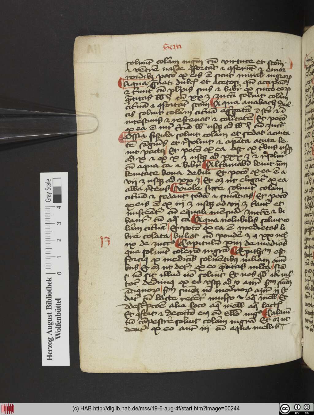 http://diglib.hab.de/mss/19-6-aug-4f/00244.jpg