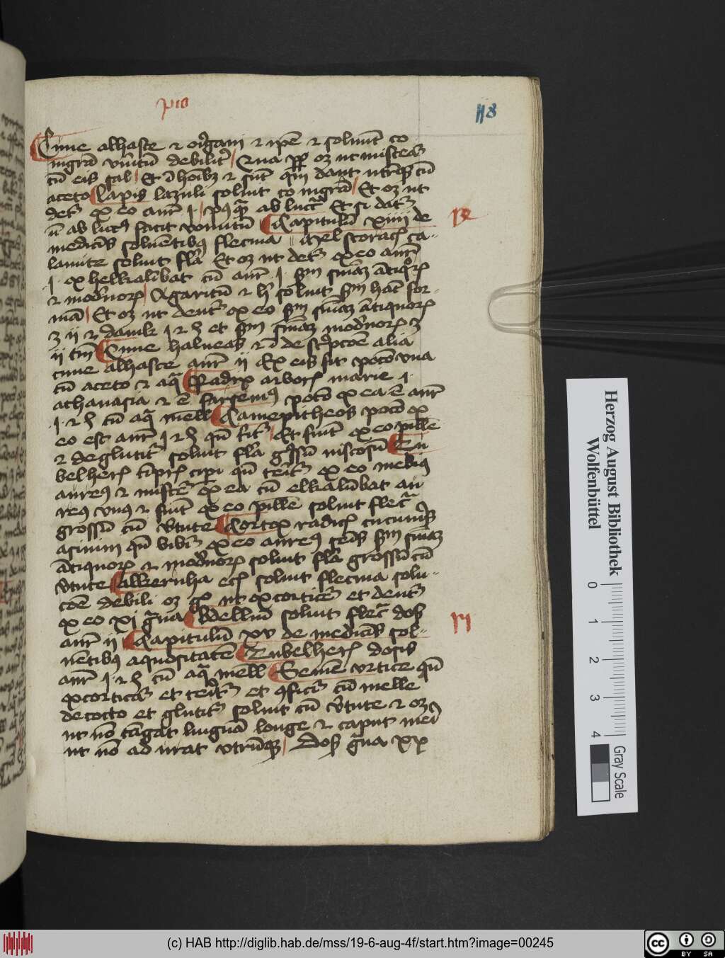 http://diglib.hab.de/mss/19-6-aug-4f/00245.jpg