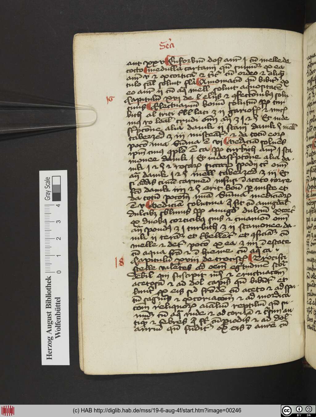 http://diglib.hab.de/mss/19-6-aug-4f/00246.jpg