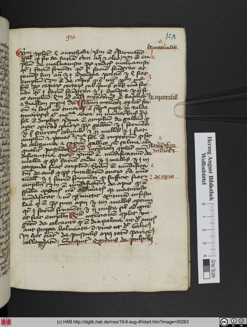 http://diglib.hab.de/mss/19-6-aug-4f/00263.jpg