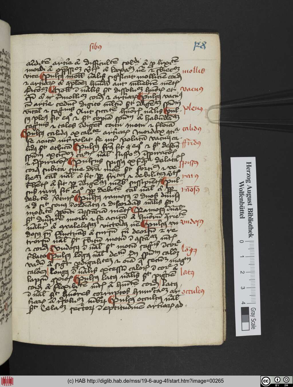 http://diglib.hab.de/mss/19-6-aug-4f/00265.jpg