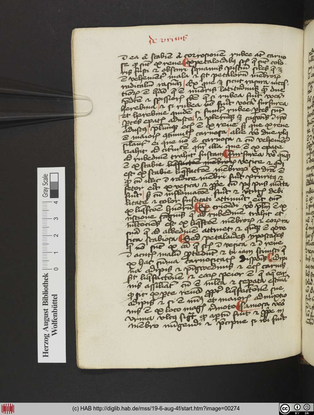 http://diglib.hab.de/mss/19-6-aug-4f/00274.jpg