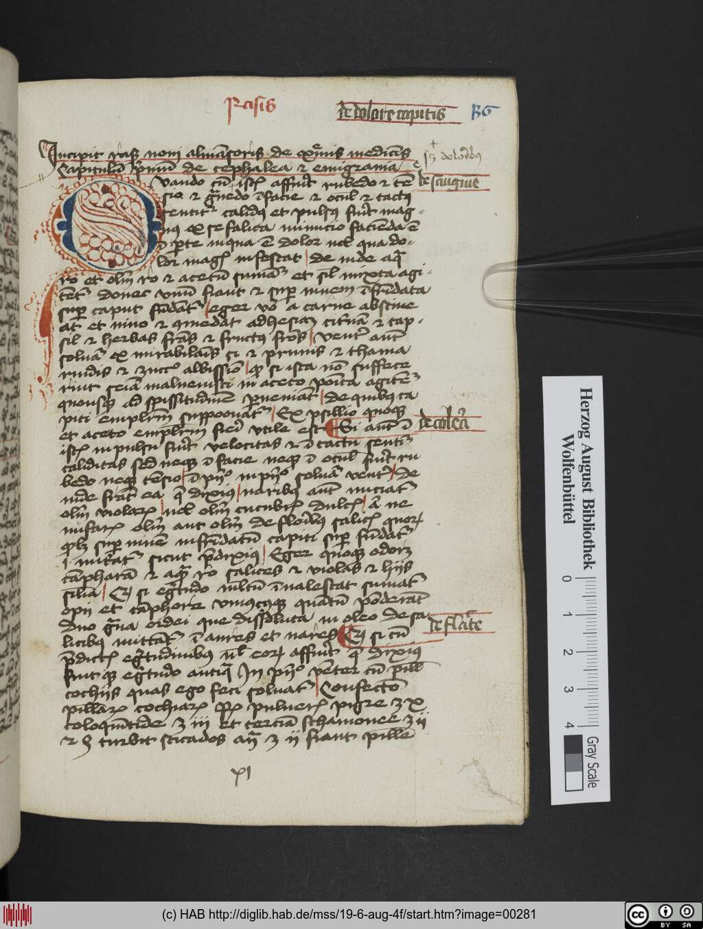 http://diglib.hab.de/mss/19-6-aug-4f/00281.jpg