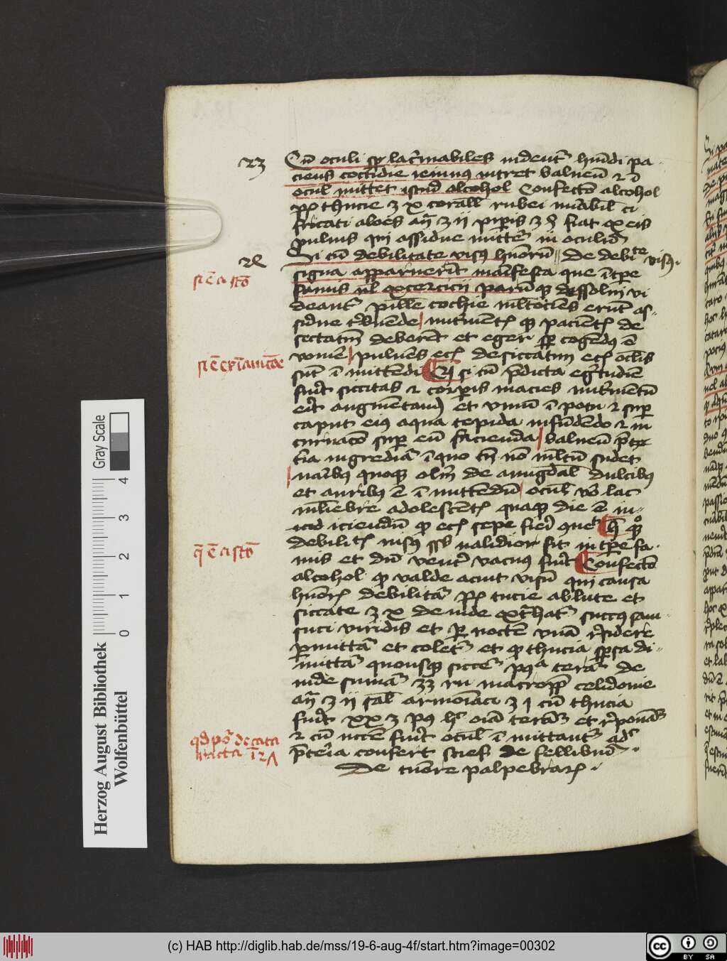 http://diglib.hab.de/mss/19-6-aug-4f/00302.jpg
