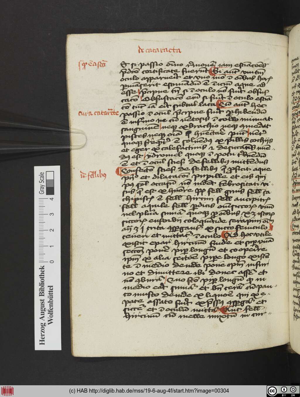 http://diglib.hab.de/mss/19-6-aug-4f/00304.jpg