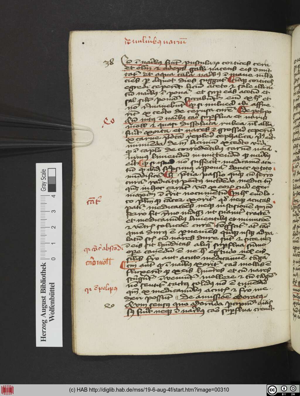 http://diglib.hab.de/mss/19-6-aug-4f/00310.jpg