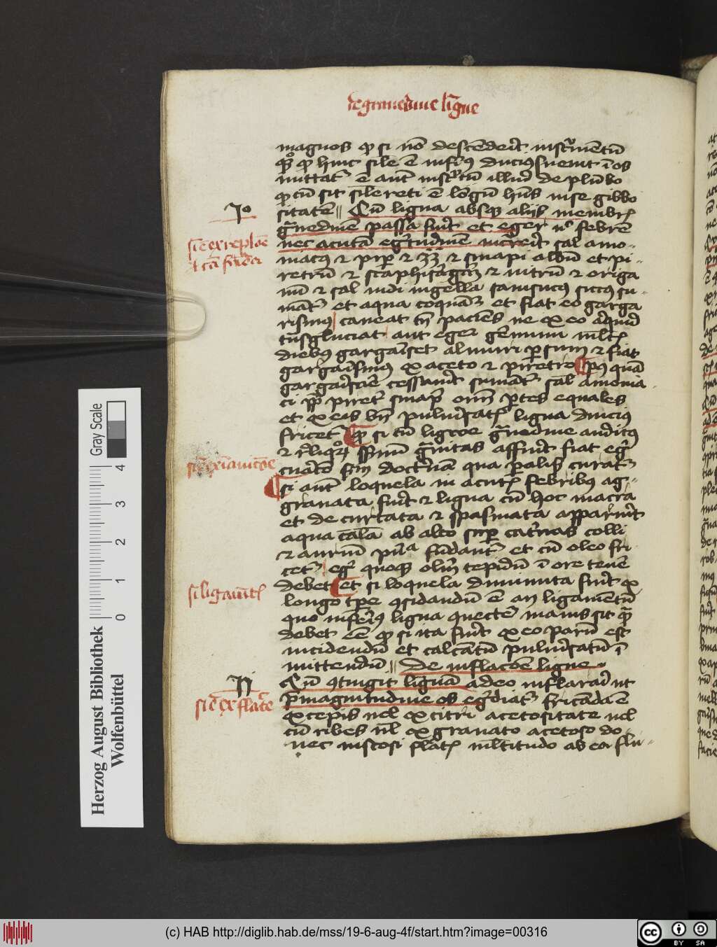 http://diglib.hab.de/mss/19-6-aug-4f/00316.jpg