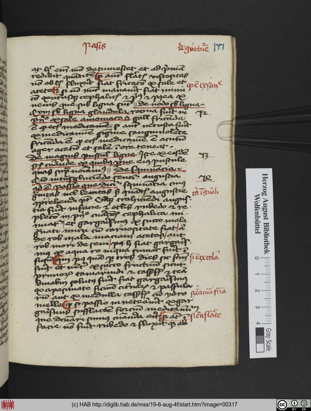 http://diglib.hab.de/mss/19-6-aug-4f/00317.jpg