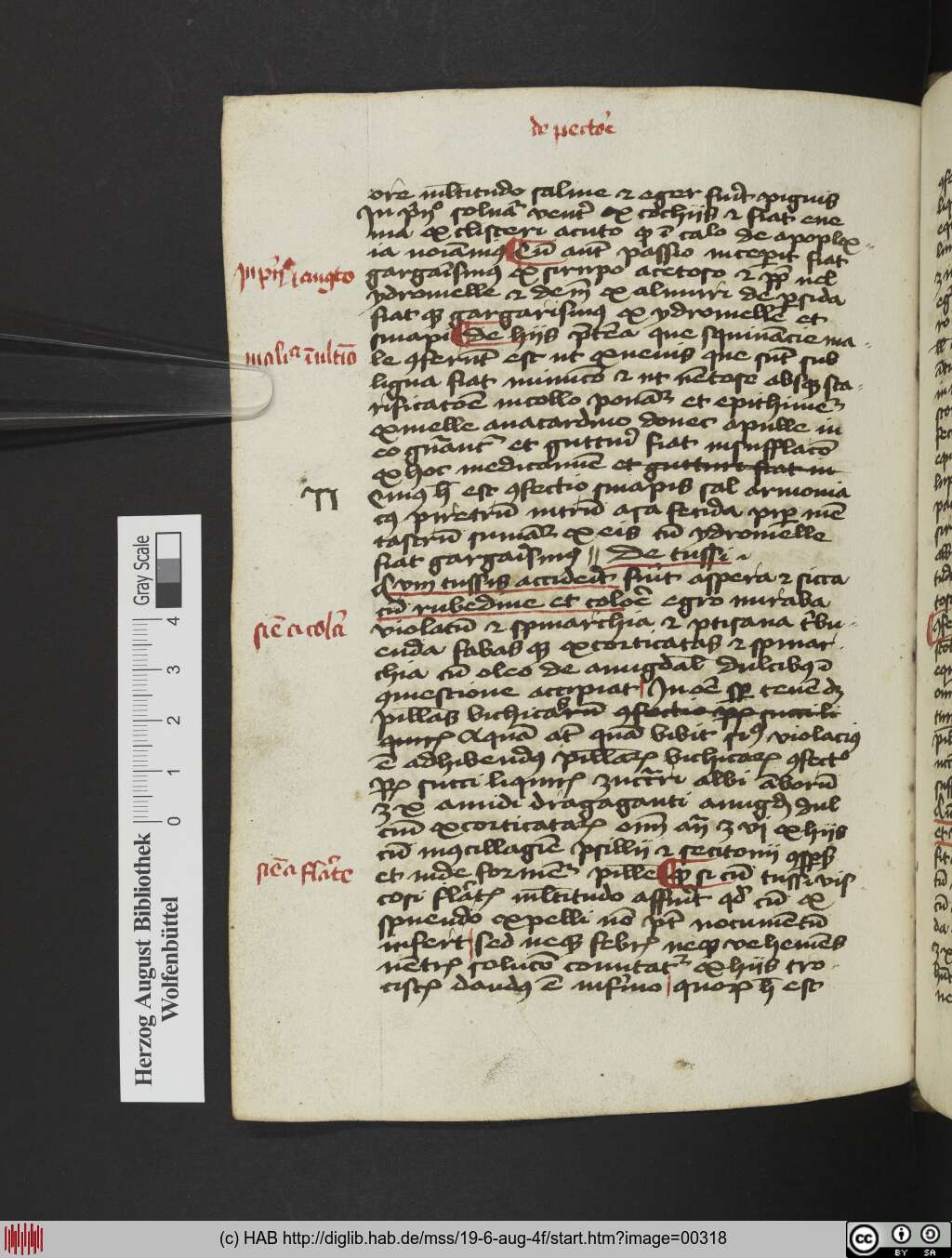 http://diglib.hab.de/mss/19-6-aug-4f/00318.jpg