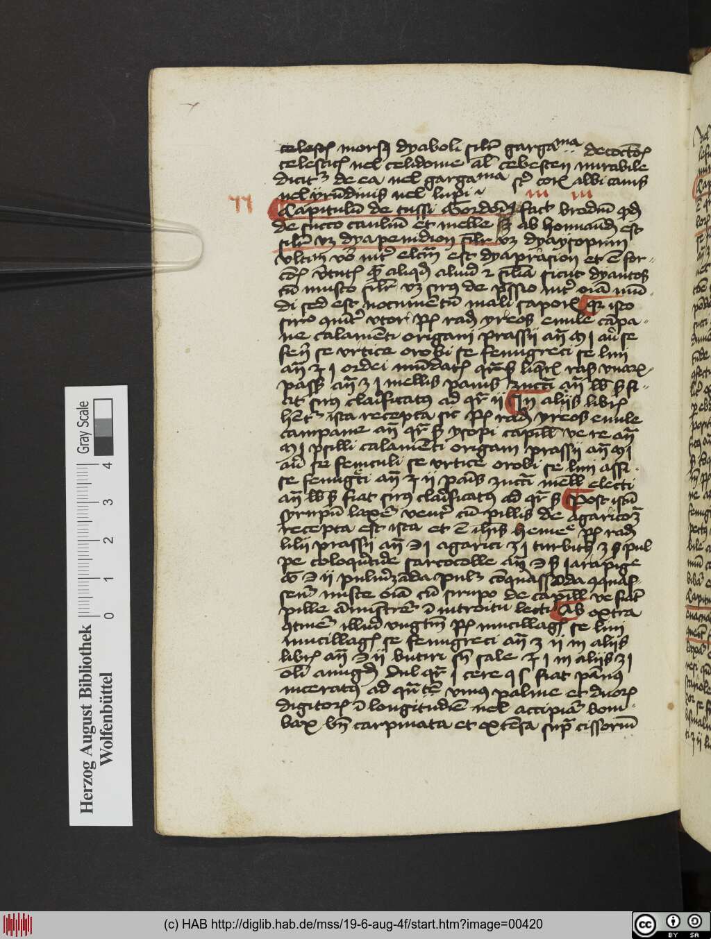 http://diglib.hab.de/mss/19-6-aug-4f/00420.jpg