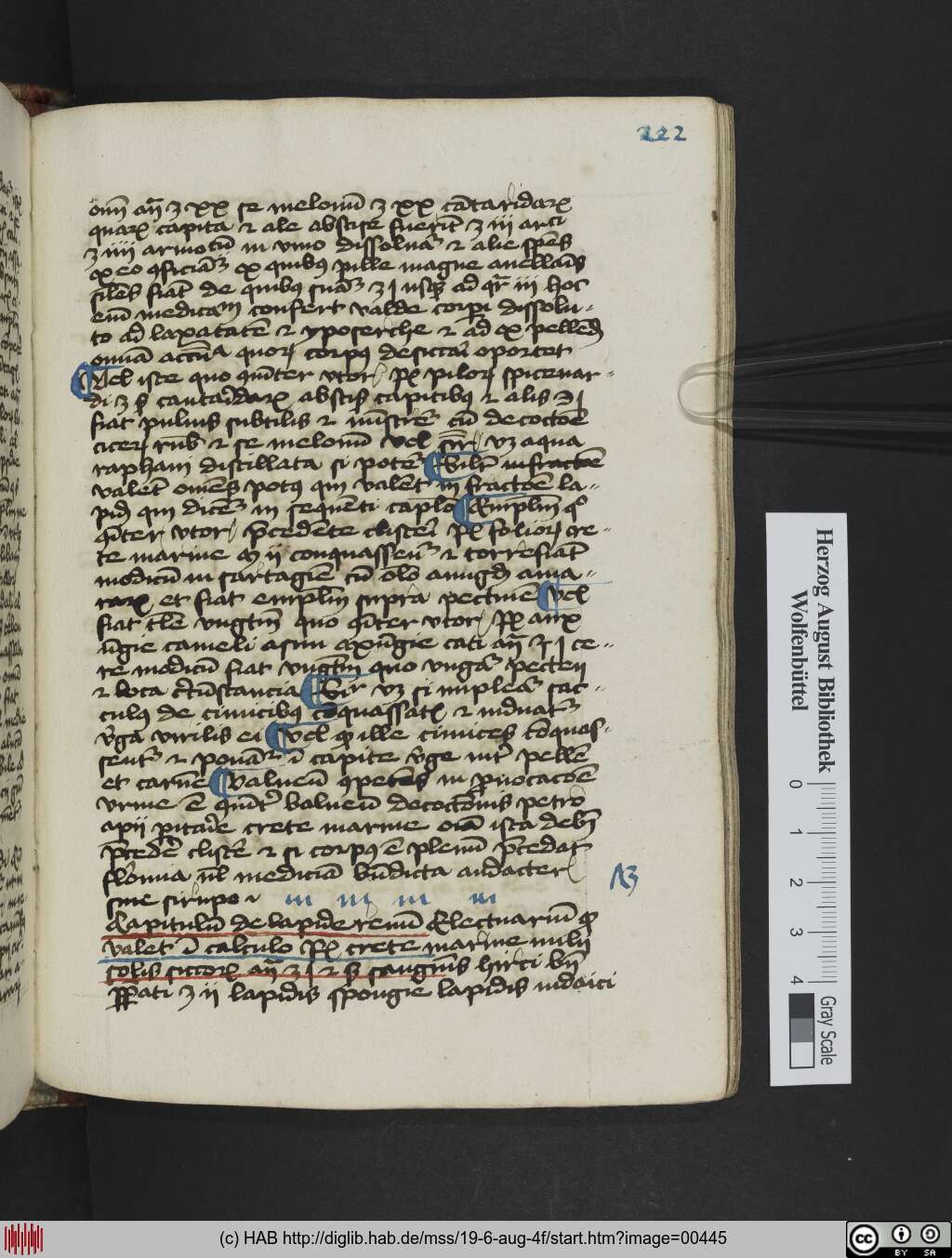 http://diglib.hab.de/mss/19-6-aug-4f/00445.jpg