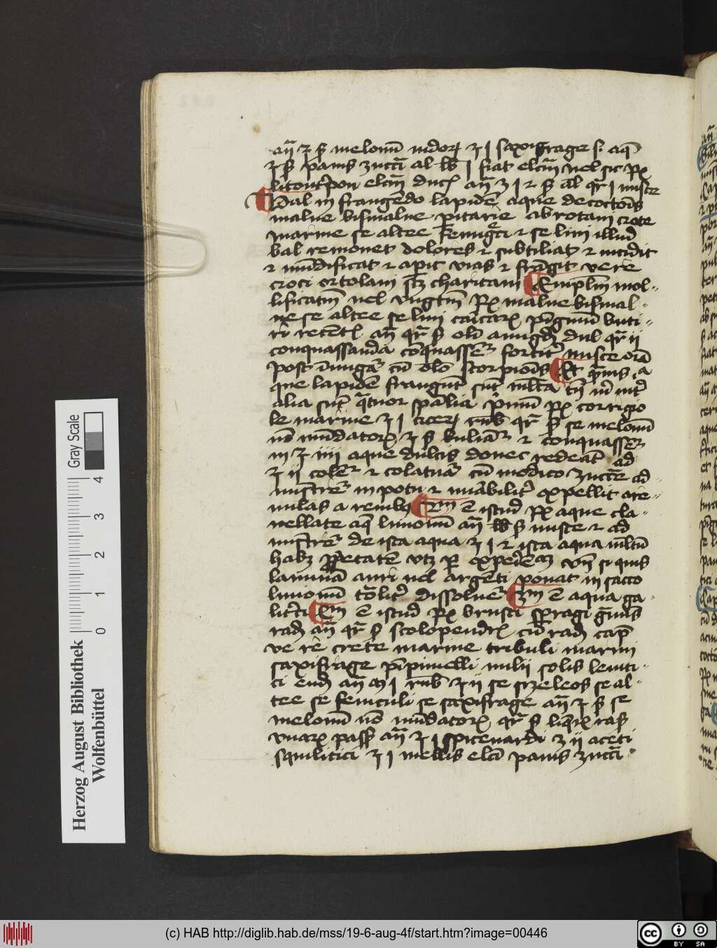 http://diglib.hab.de/mss/19-6-aug-4f/00446.jpg