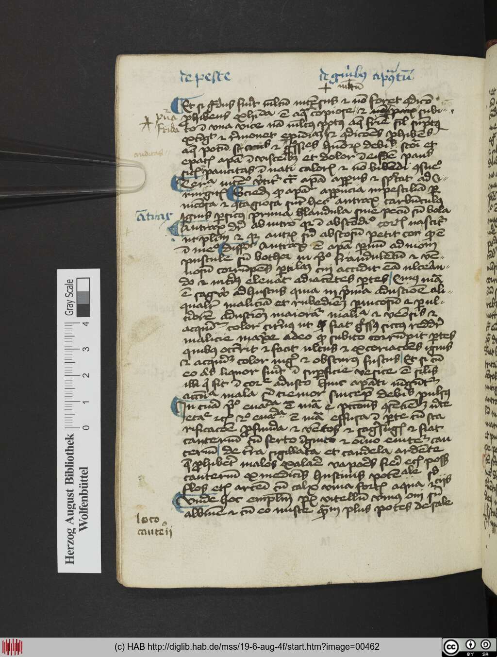 http://diglib.hab.de/mss/19-6-aug-4f/00462.jpg