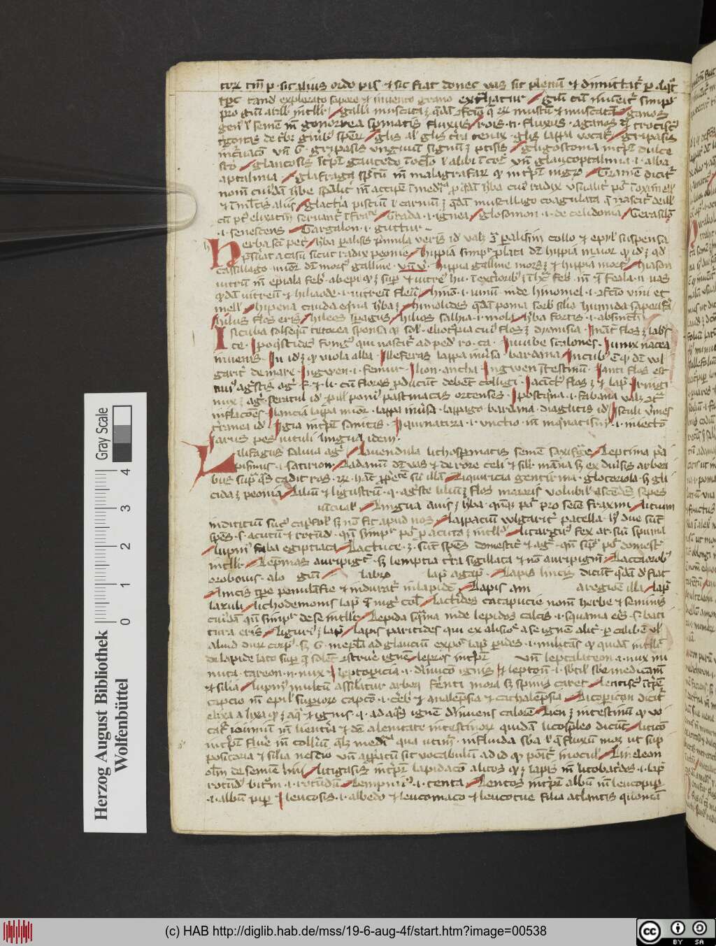 http://diglib.hab.de/mss/19-6-aug-4f/00538.jpg