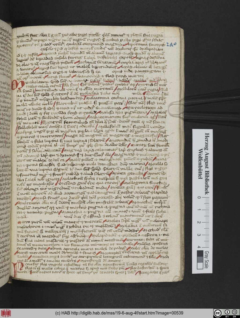 http://diglib.hab.de/mss/19-6-aug-4f/00539.jpg