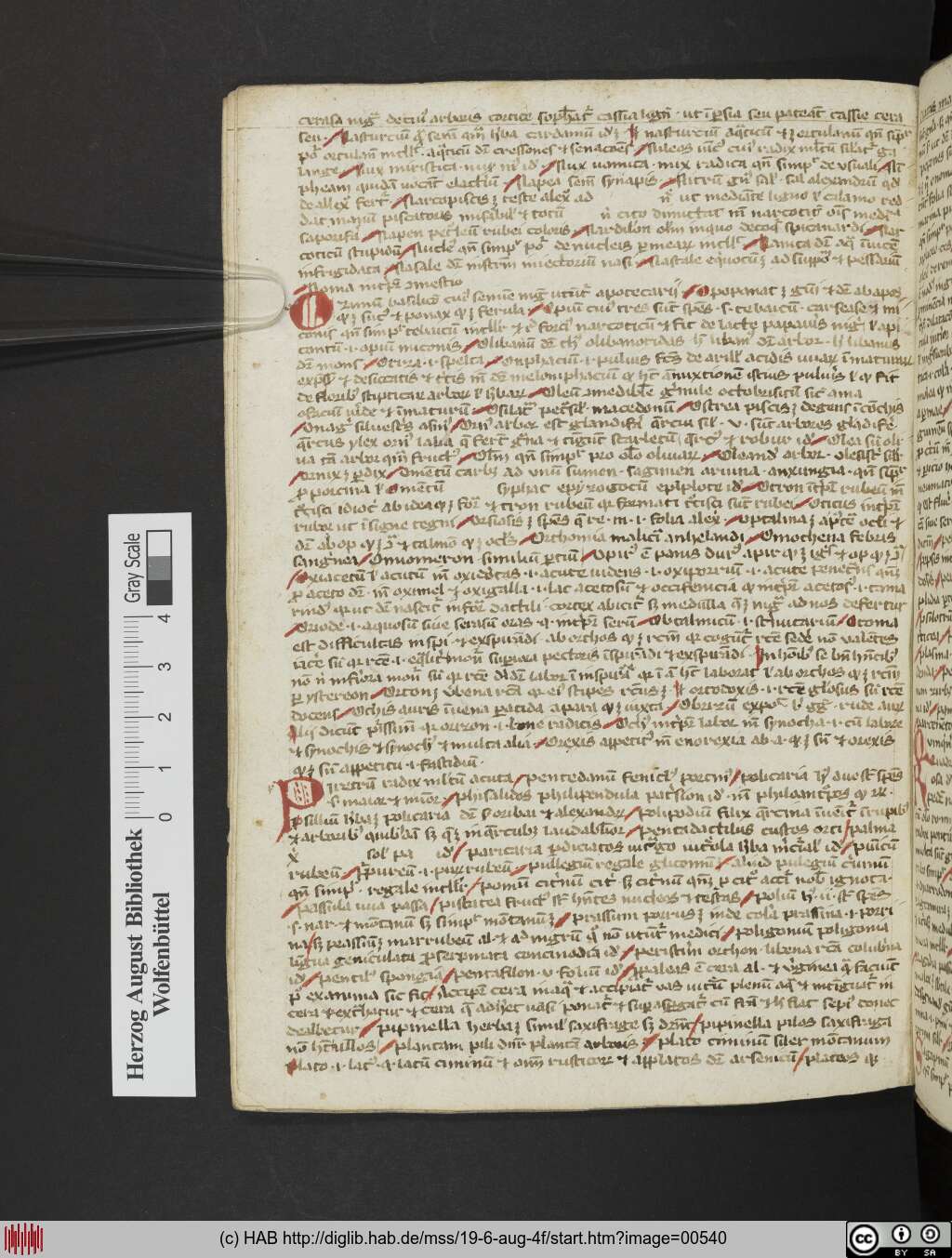 http://diglib.hab.de/mss/19-6-aug-4f/00540.jpg