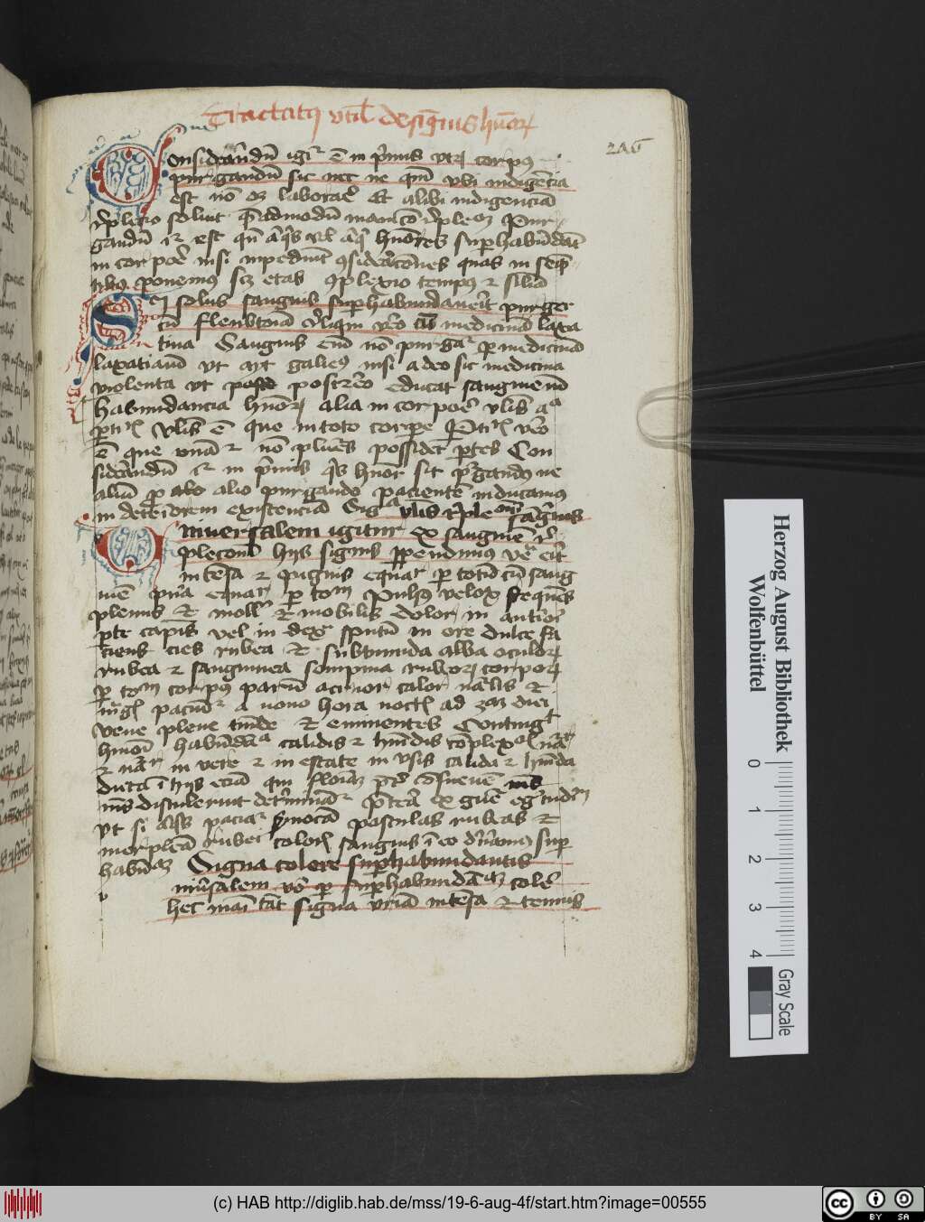 http://diglib.hab.de/mss/19-6-aug-4f/00555.jpg