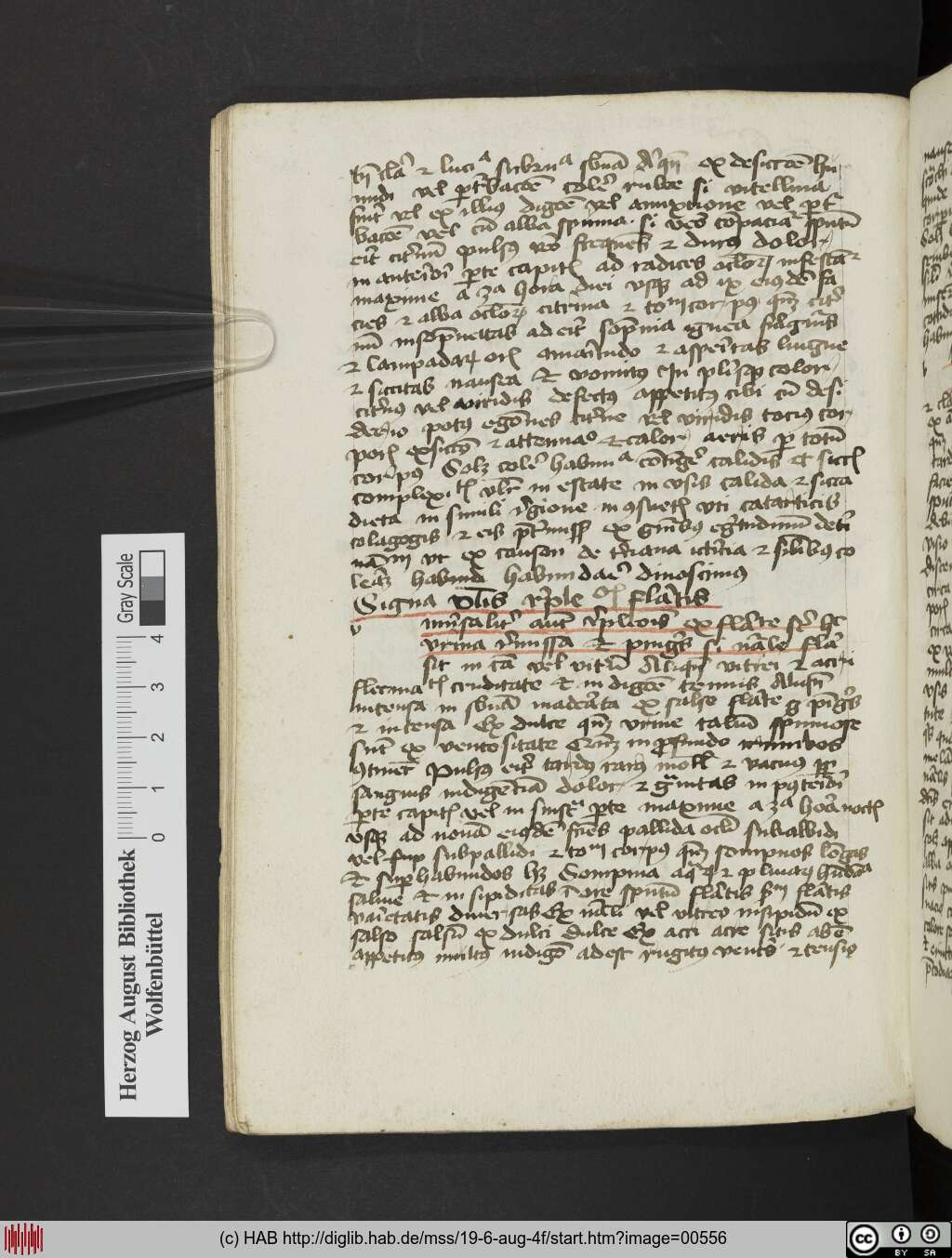 http://diglib.hab.de/mss/19-6-aug-4f/00556.jpg