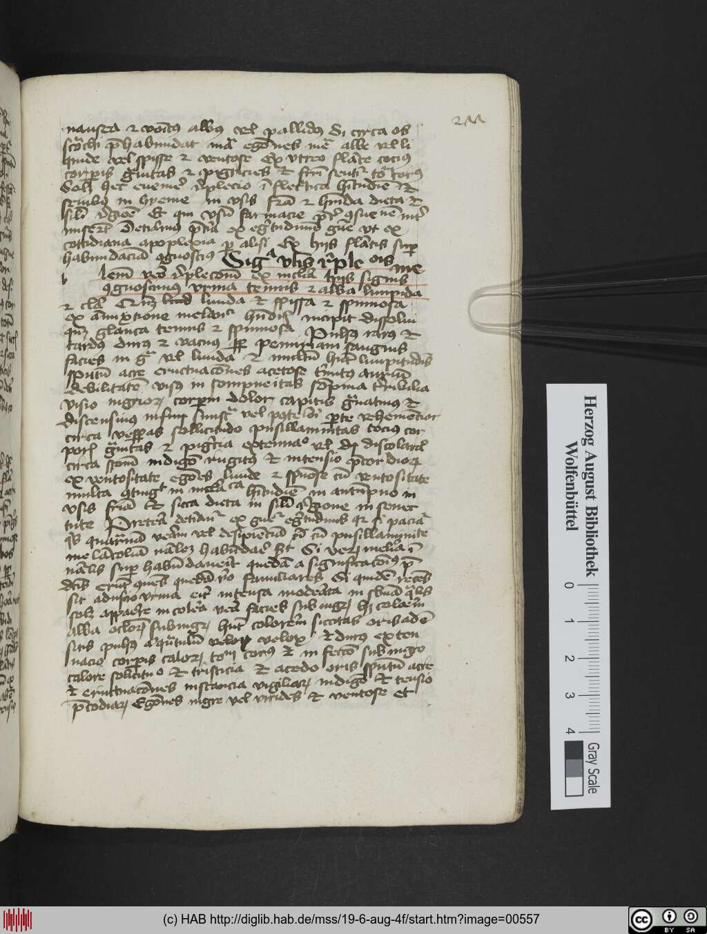 http://diglib.hab.de/mss/19-6-aug-4f/00557.jpg