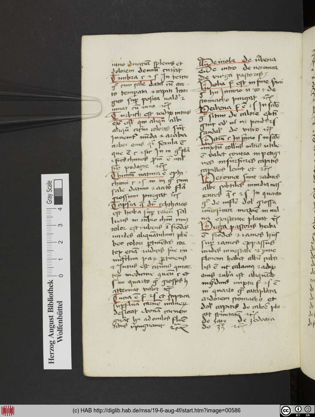 http://diglib.hab.de/mss/19-6-aug-4f/00586.jpg