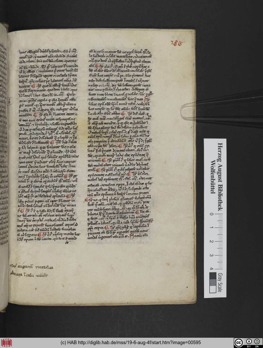 http://diglib.hab.de/mss/19-6-aug-4f/00595.jpg