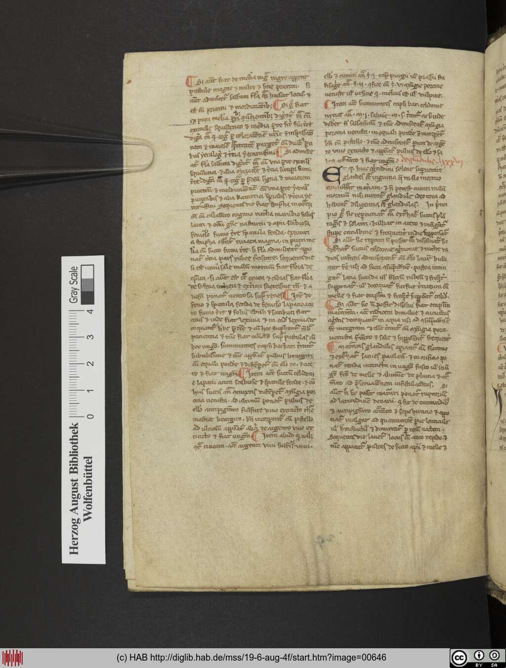 http://diglib.hab.de/mss/19-6-aug-4f/00646.jpg