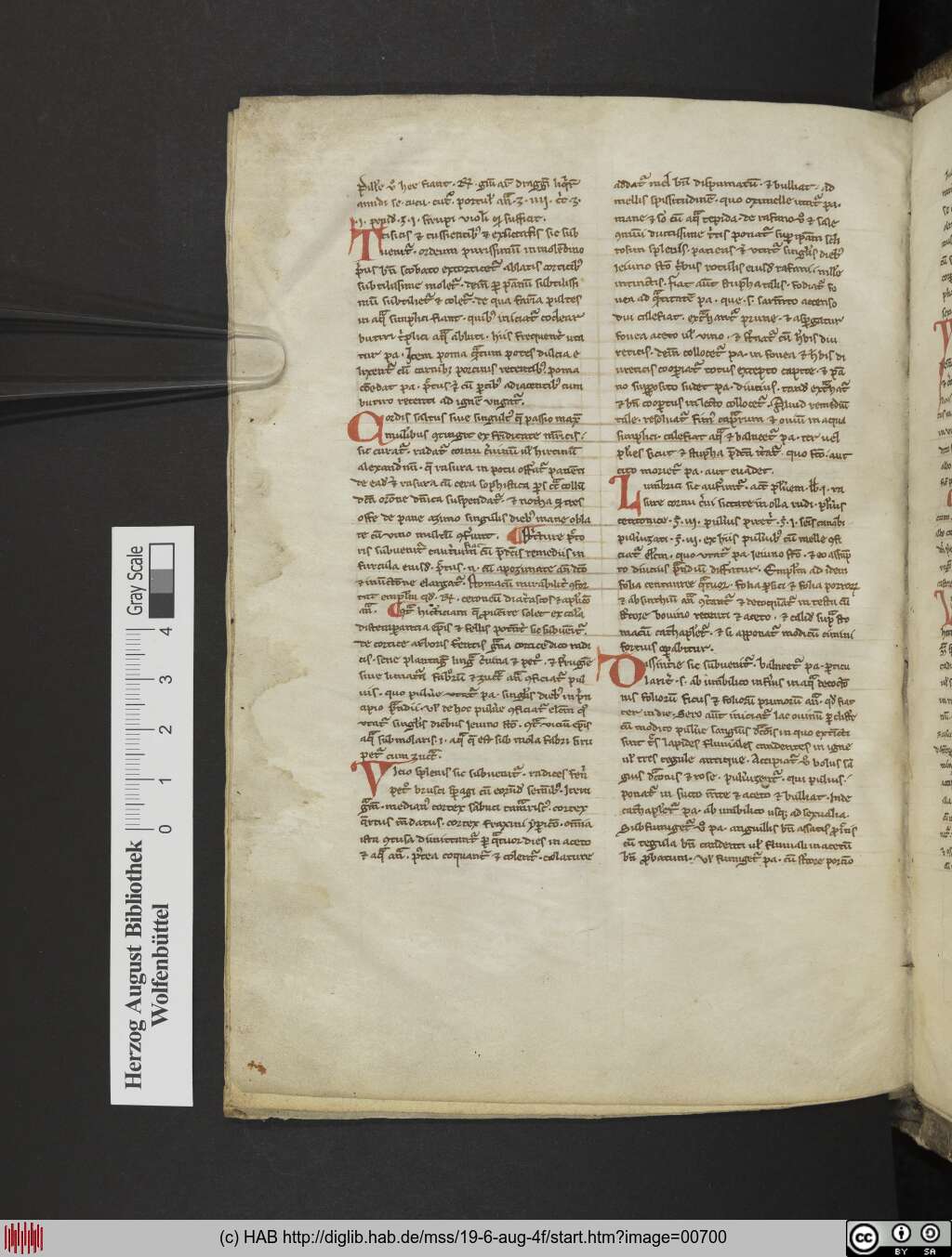 http://diglib.hab.de/mss/19-6-aug-4f/00700.jpg